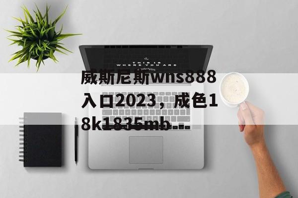 威斯尼斯wns888入口2023，成色18k1835mb